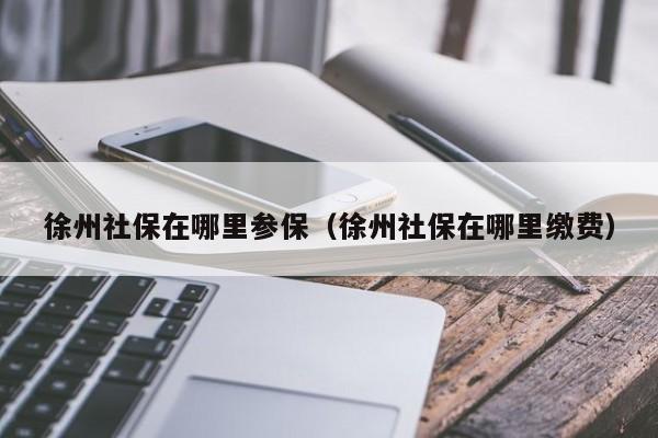 应该是徐州市人力资源和社会保障局;地址在江苏省徐州市云龙区昆仑